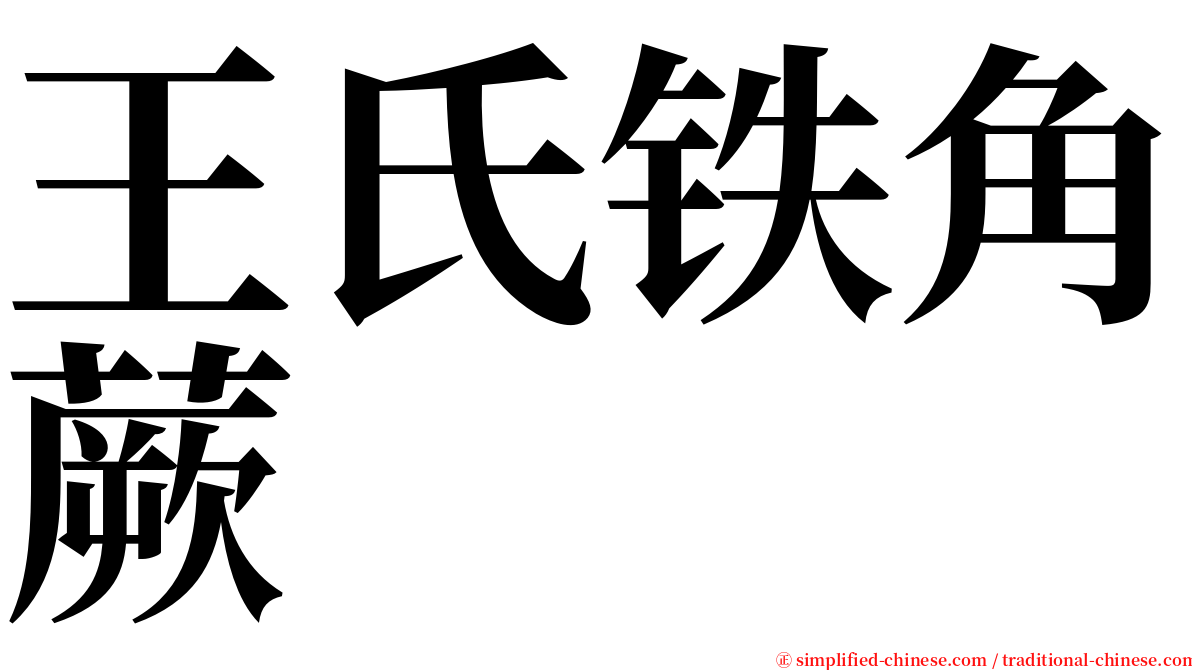 王氏铁角蕨 serif font
