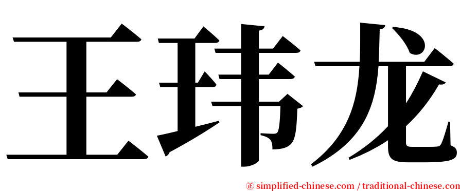 王玮龙 serif font