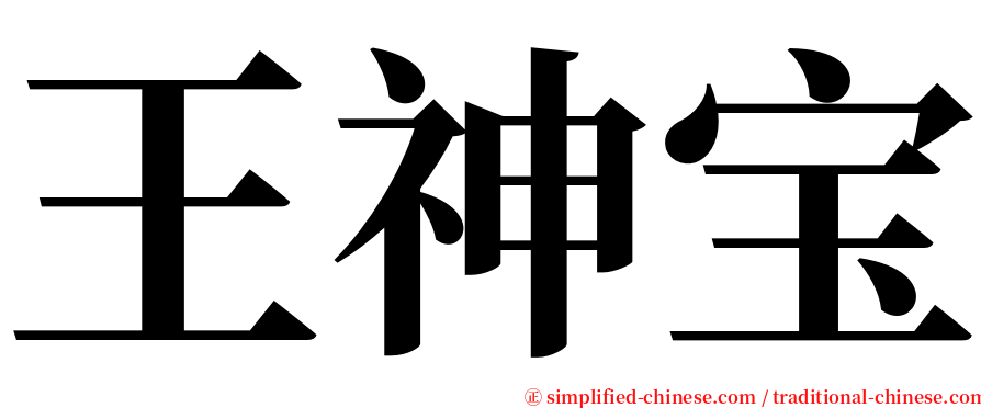 王神宝 serif font