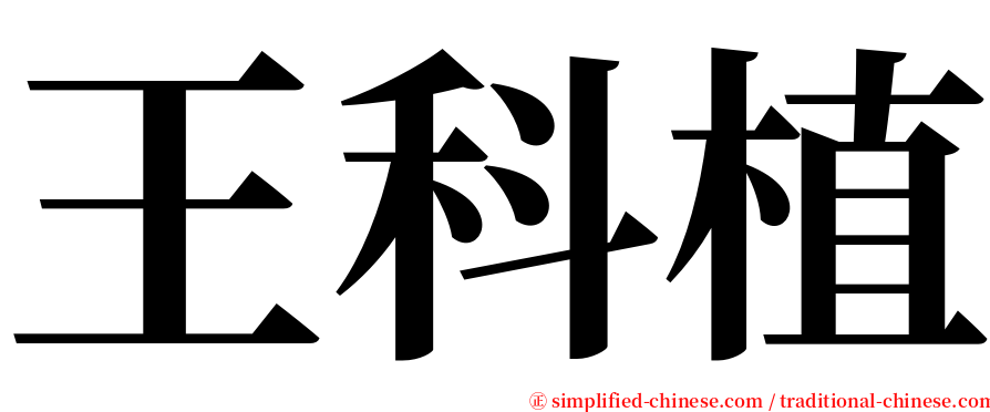 王科植 serif font