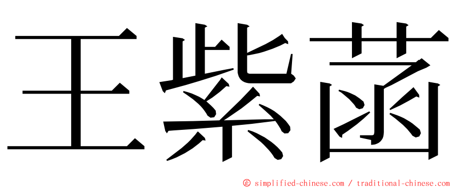 王紫菡 ming font