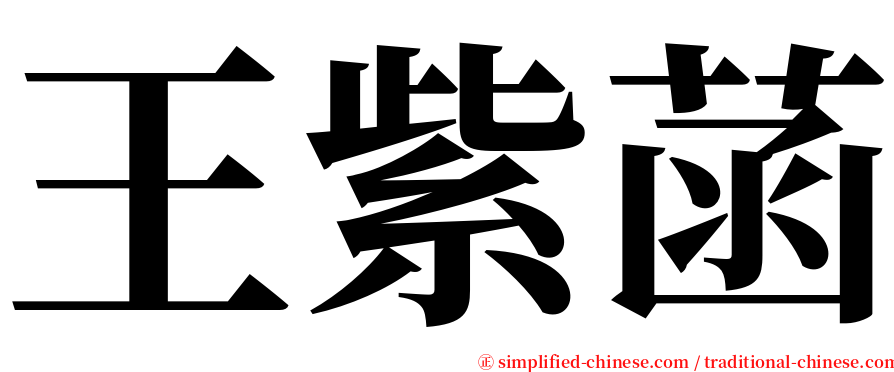 王紫菡 serif font