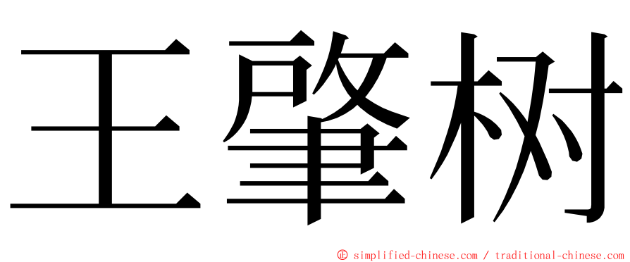 王肇树 ming font