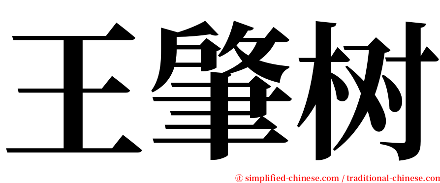 王肇树 serif font