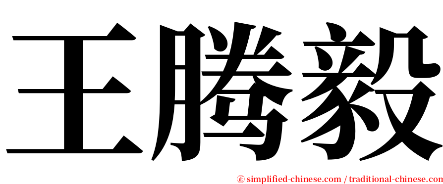 王腾毅 serif font