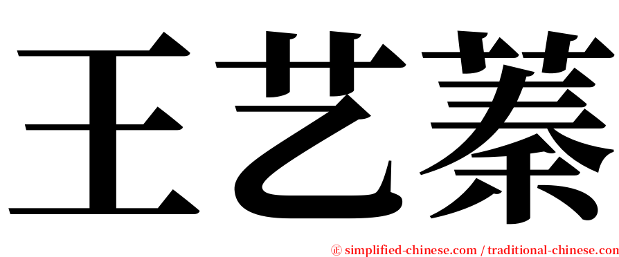 王艺蓁 serif font