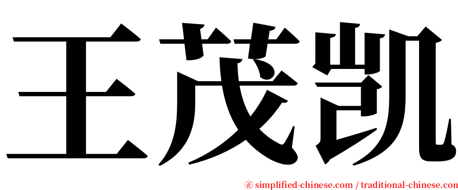 王茂凯 serif font