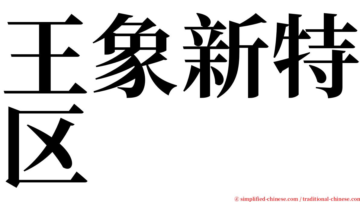 王象新特区 serif font