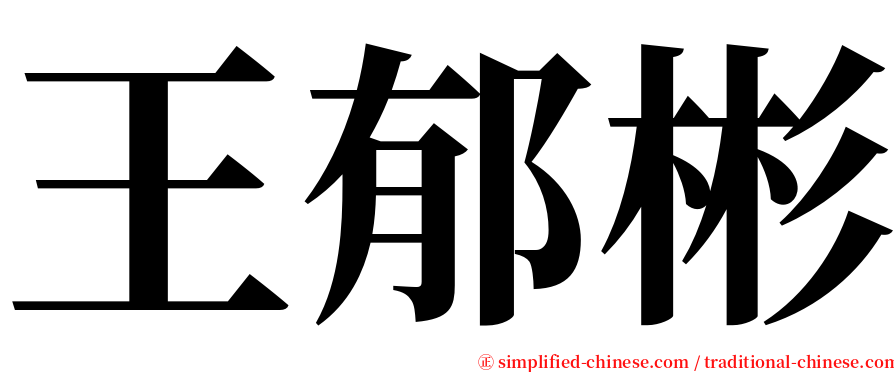 王郁彬 serif font