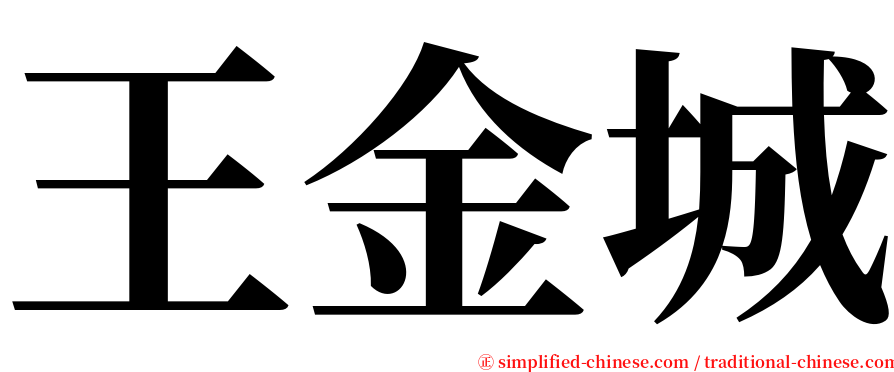 王金城 serif font