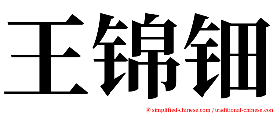 王锦钿 serif font