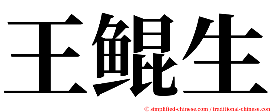 王鲲生 serif font