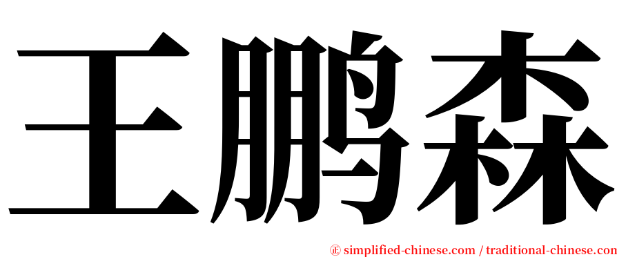 王鹏森 serif font