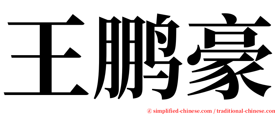 王鹏豪 serif font