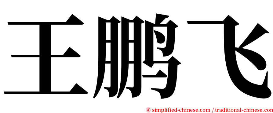 王鹏飞 serif font