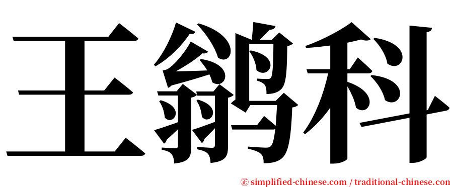 王鹟科 serif font