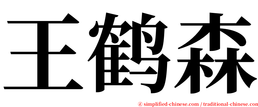 王鹤森 serif font