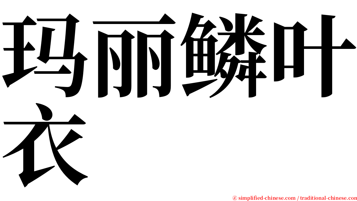 玛丽鳞叶衣 serif font