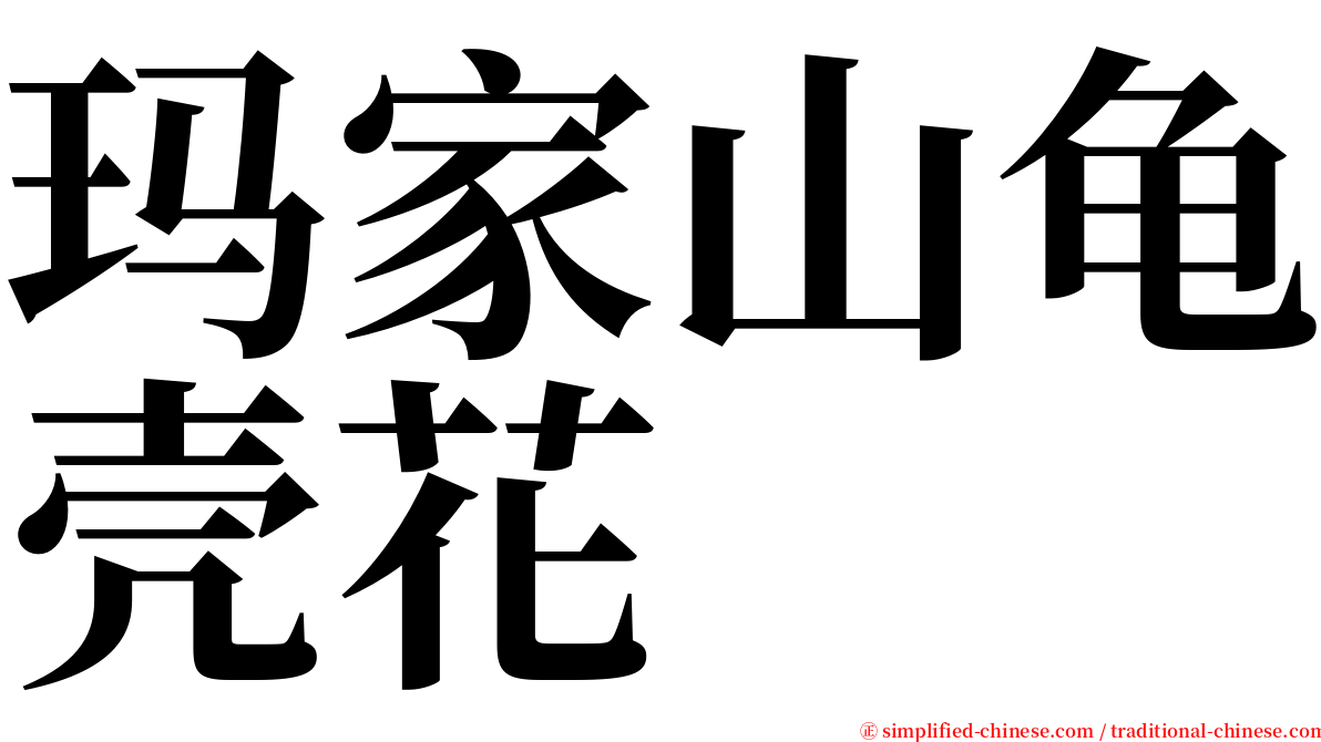 玛家山龟壳花 serif font