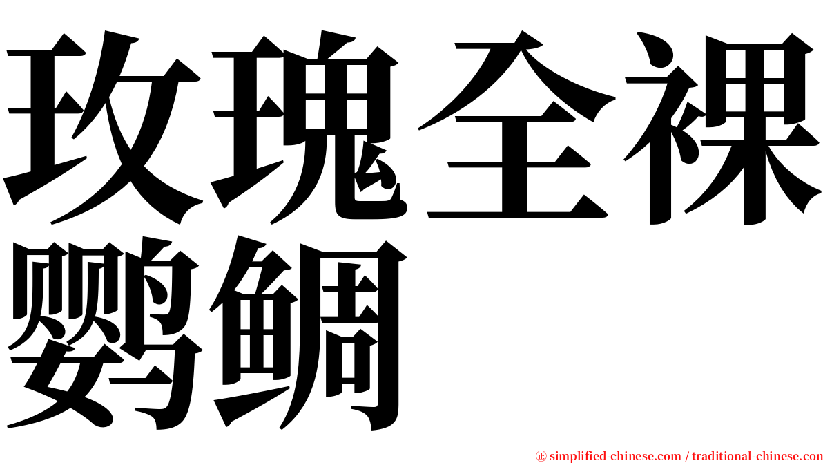 玫瑰全裸鹦鲷 serif font