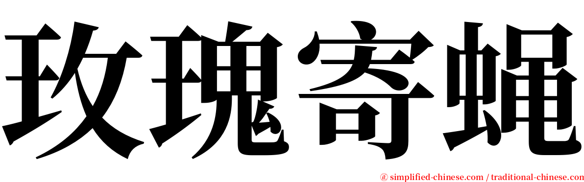 玫瑰寄蝇 serif font