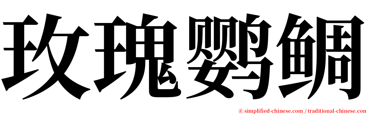 玫瑰鹦鲷 serif font