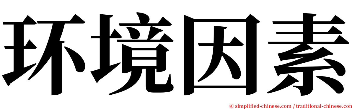 环境因素 serif font