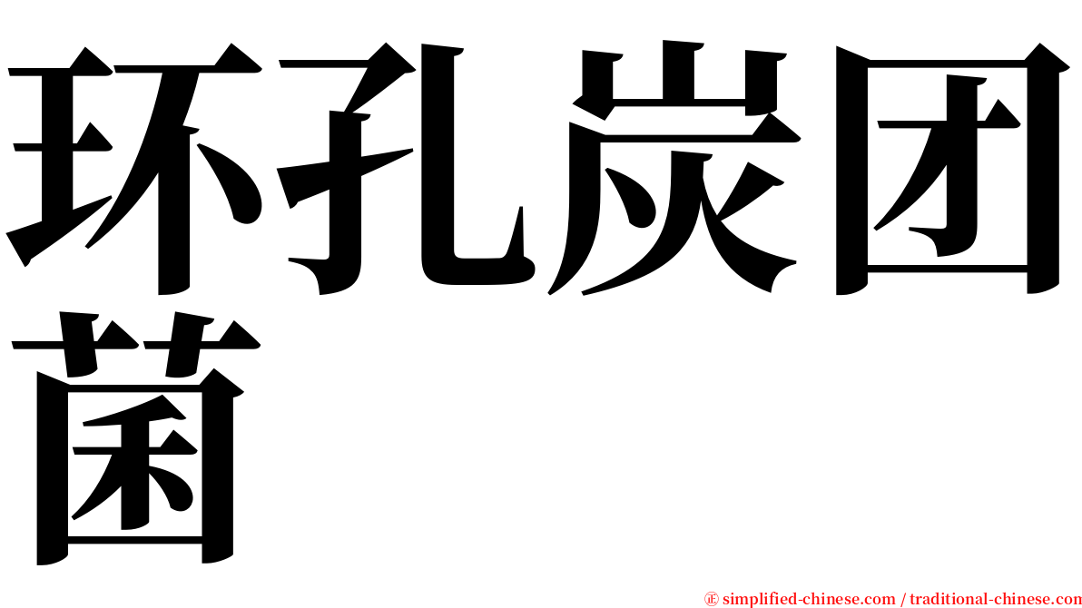 环孔炭团菌 serif font