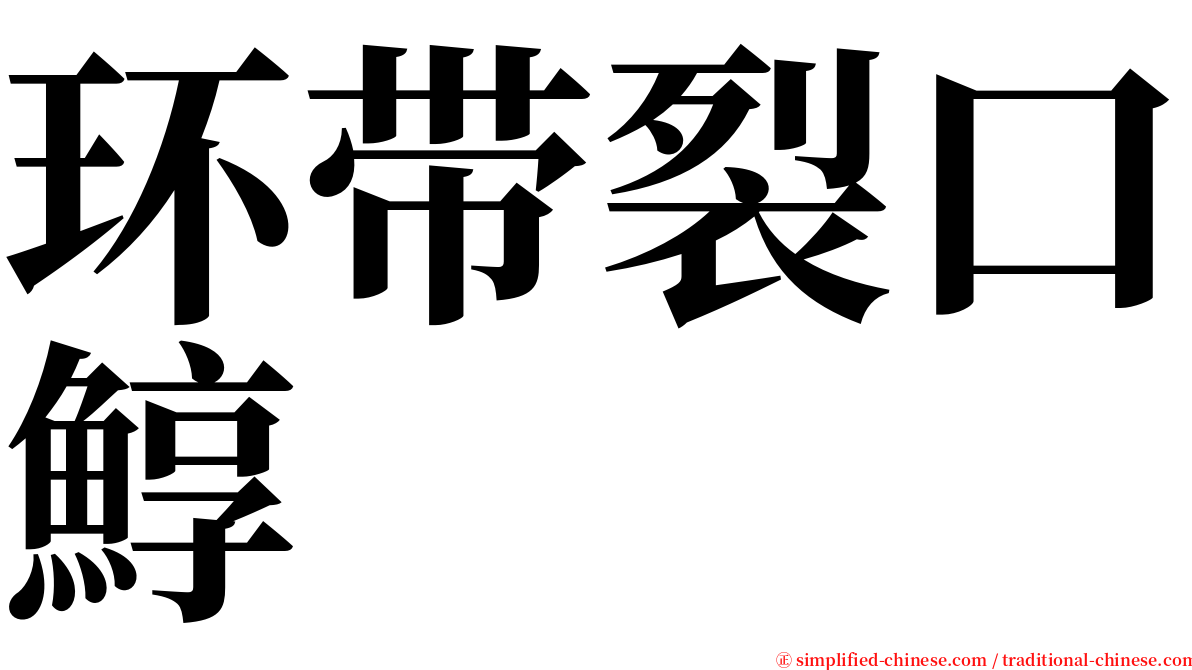 环带裂口鯙 serif font