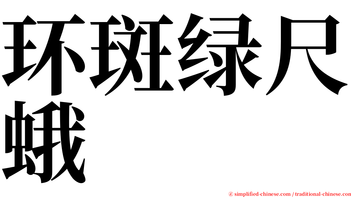 环斑绿尺蛾 serif font