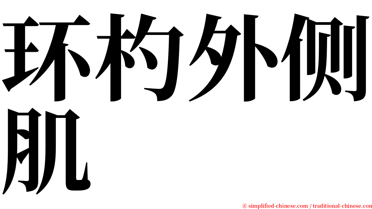 环杓外侧肌 serif font