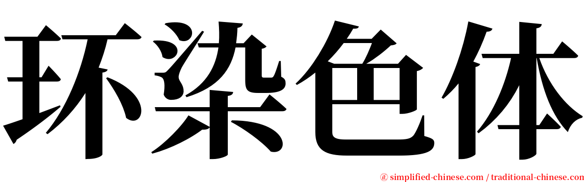 环染色体 serif font