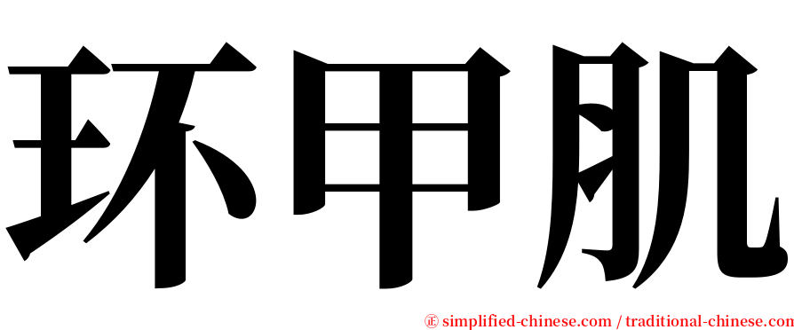 环甲肌 serif font