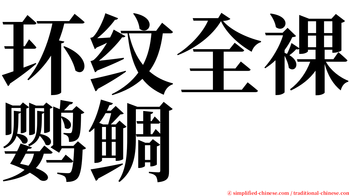 环纹全裸鹦鲷 serif font