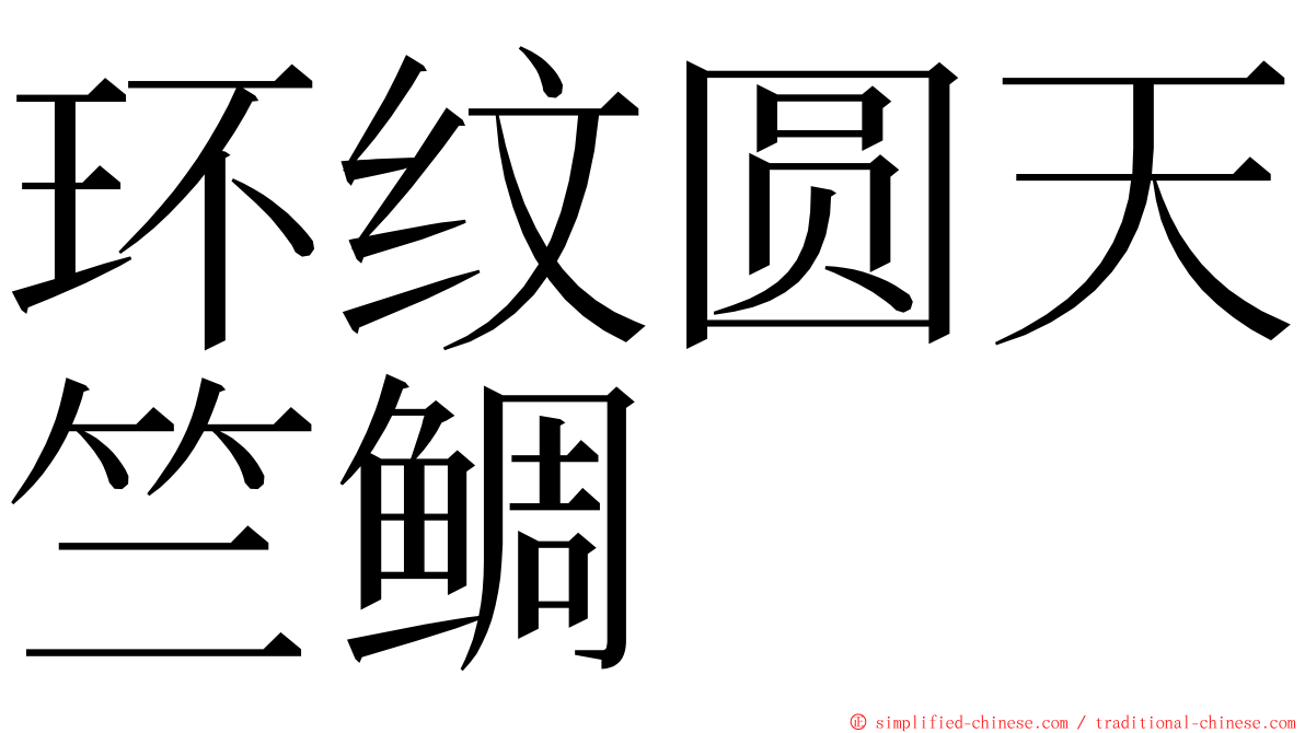 环纹圆天竺鲷 ming font