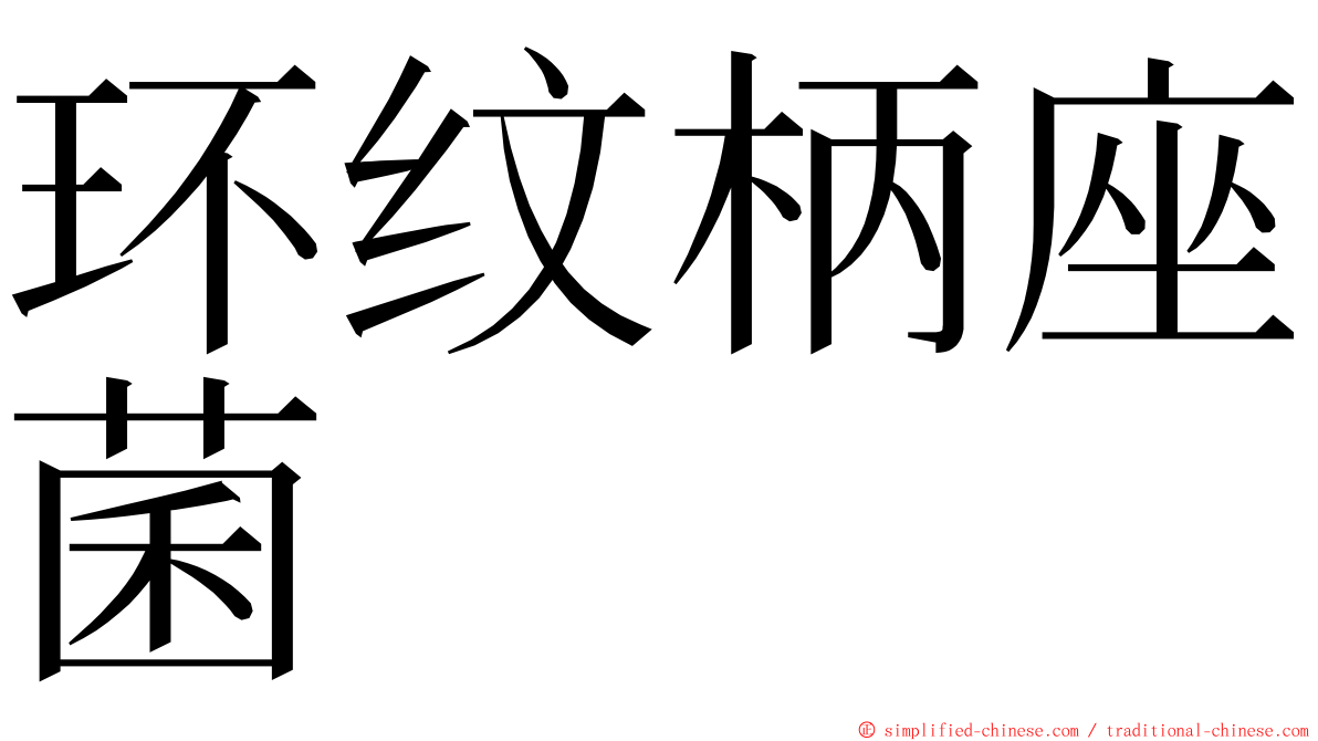 环纹柄座菌 ming font