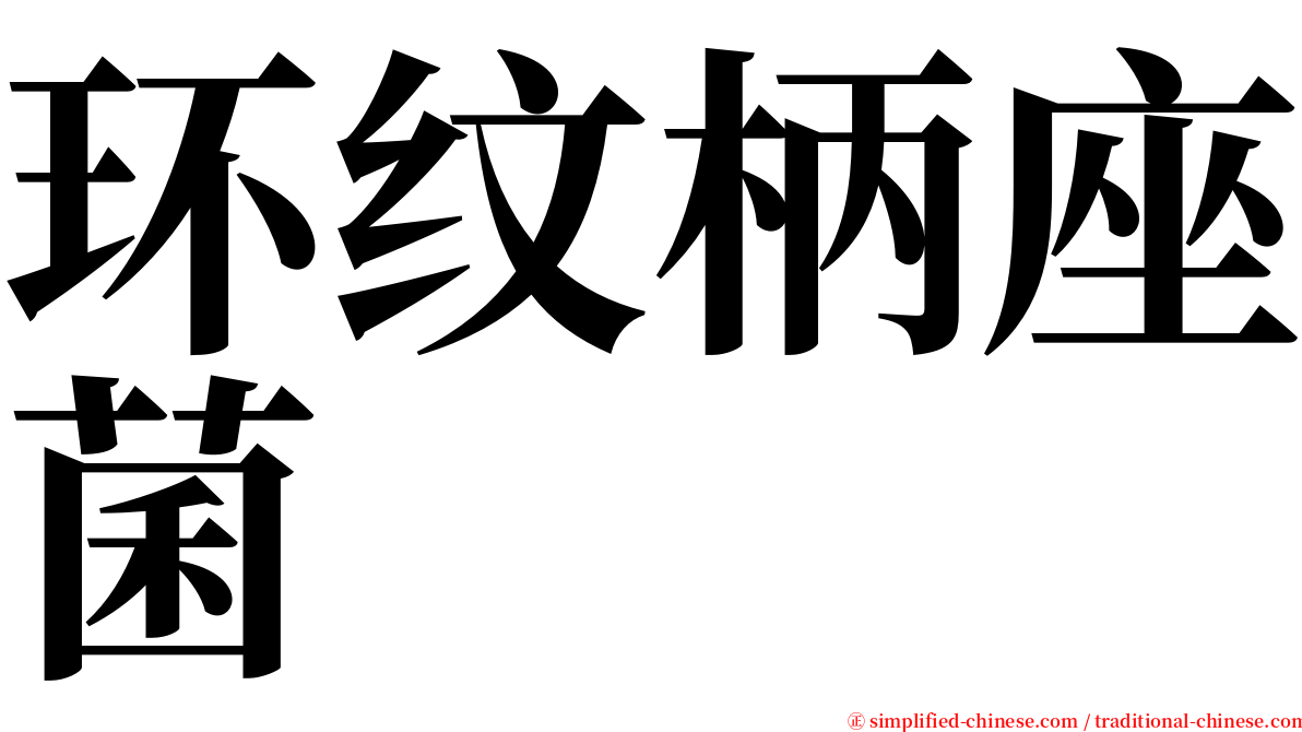 环纹柄座菌 serif font