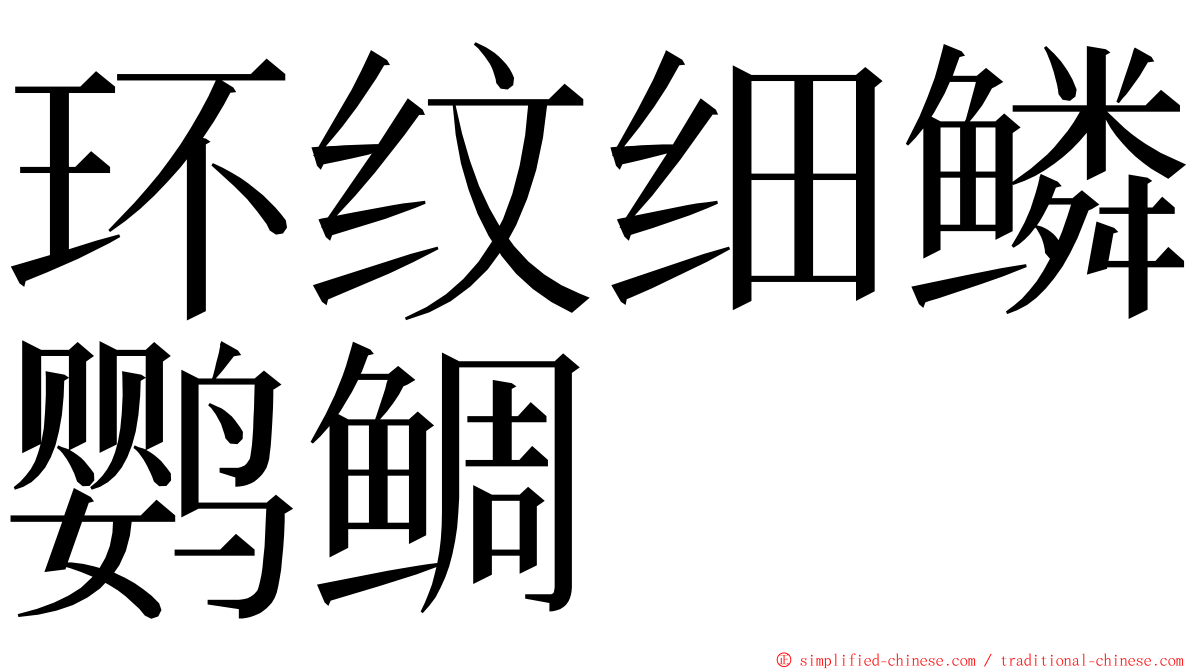 环纹细鳞鹦鲷 ming font