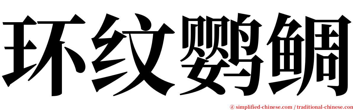 环纹鹦鲷 serif font