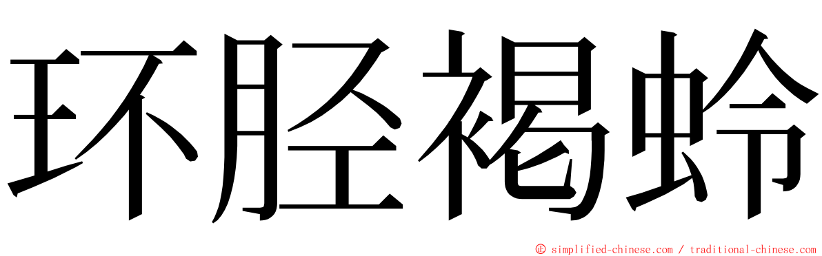 环胫褐蛉 ming font