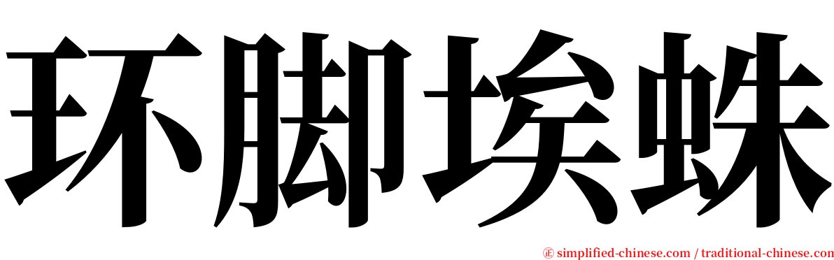 环脚埃蛛 serif font