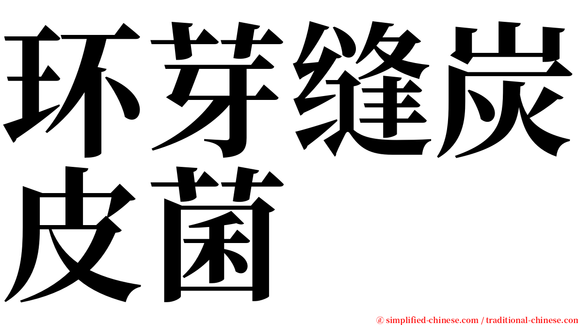 环芽缝炭皮菌 serif font