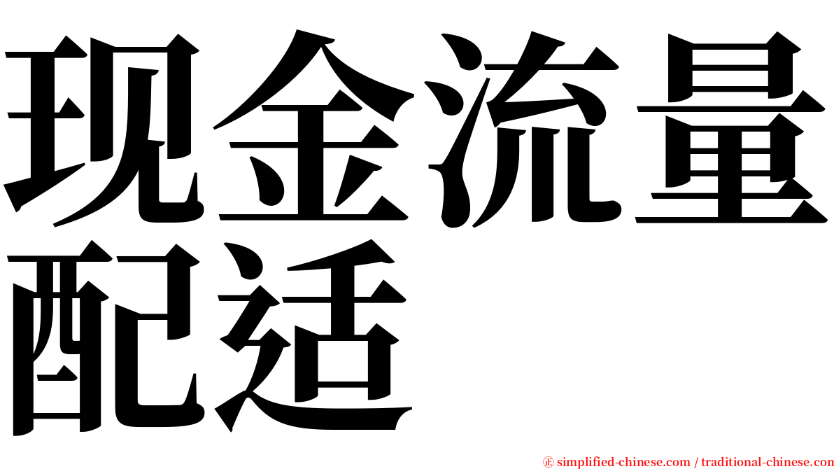 现金流量配适 serif font