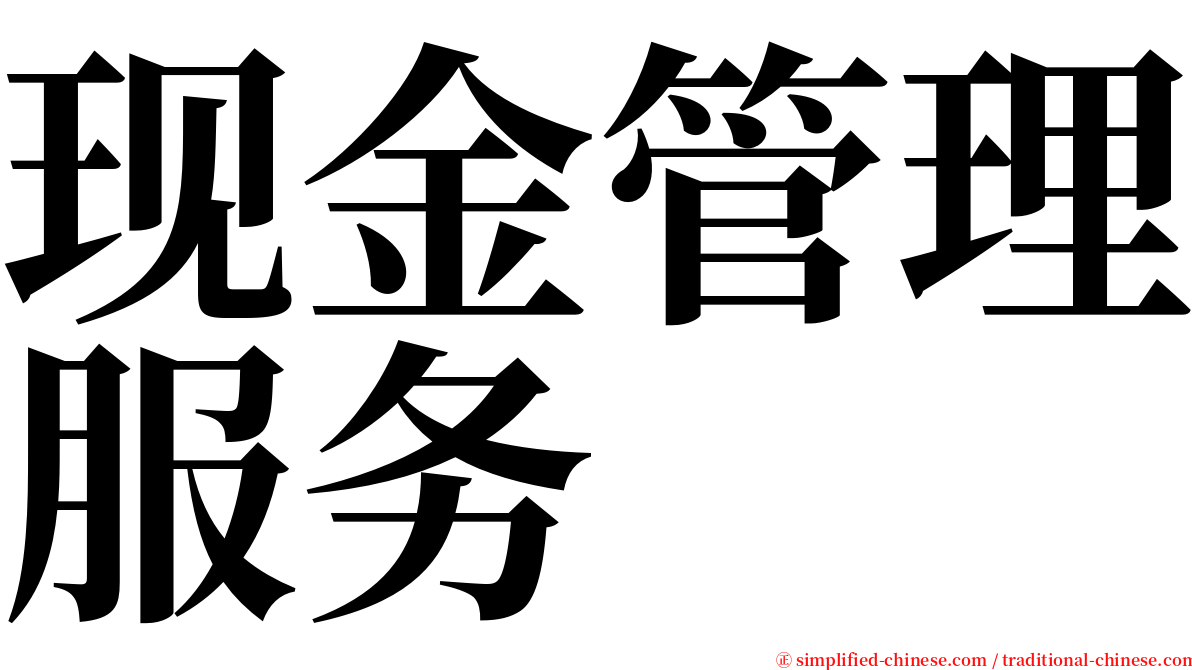 现金管理服务 serif font