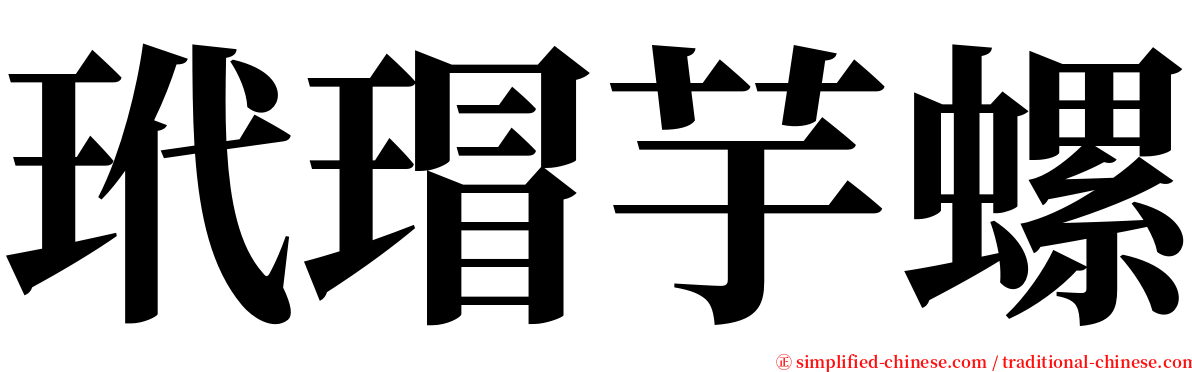 玳瑁芋螺 serif font