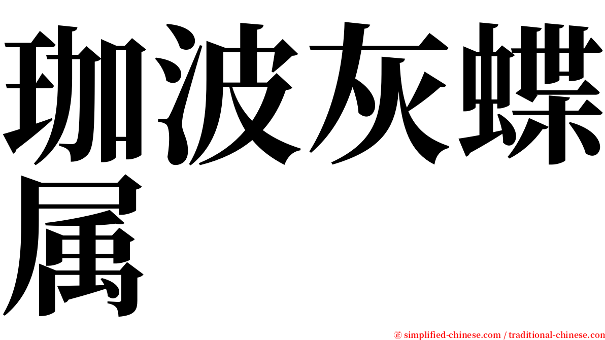 珈波灰蝶属 serif font