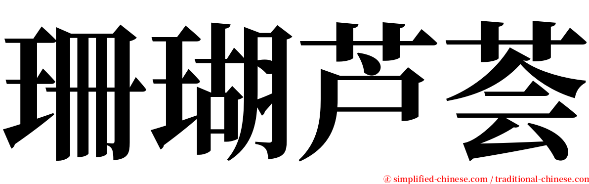 珊瑚芦荟 serif font