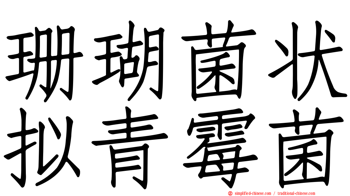 珊瑚菌状拟青霉菌