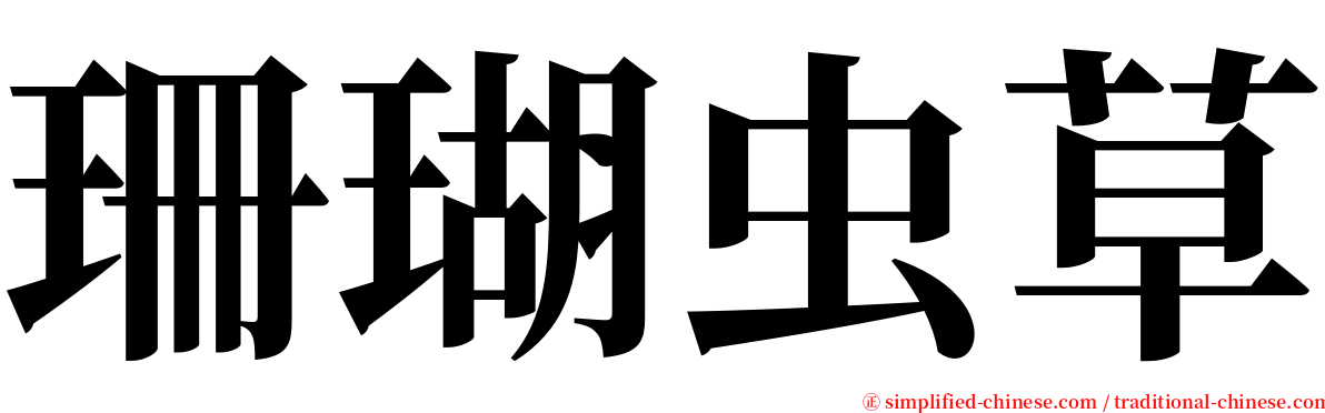 珊瑚虫草 serif font