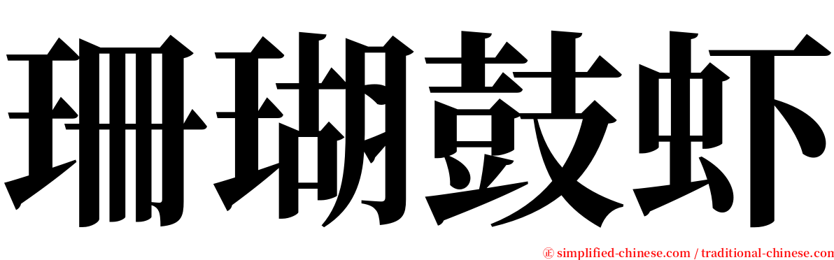 珊瑚鼓虾 serif font